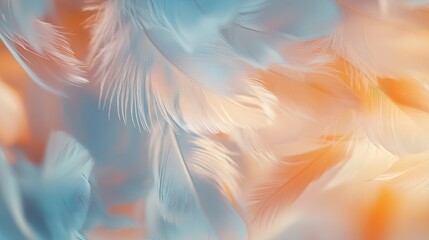 Feather texture from birds and chickens, ideal for a background. Abstract, postcard-style with a blurred effect and soft colors in art design.