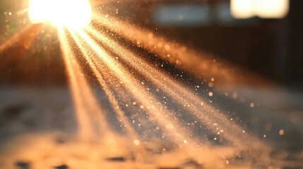 Wall Mural - golden sunlight filters through dusty air, creating a magical display of atmospheric particles durin