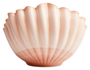 Wall Mural - PNG Seashell clam white background invertebrate.