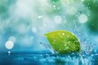 © Nejron Photo - Leaf with water splash against soft green backdrop