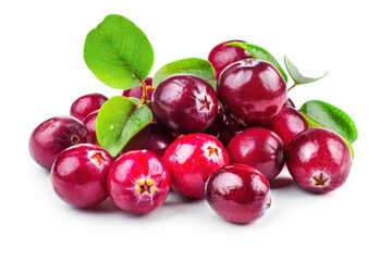 Poster - Cranberry Closeup Macro on White Background. Fresh Red Healthy Food Isolated with Leaf