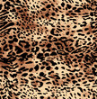 © sefa - new modern leopard pattern animal design print natural