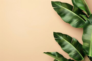 Wall Mural - Flat lay frame with colorful banana leaves  on the beige background with ample copy space image. isolated pastel backdrop. colorful desktop wallpaper with banana leaves