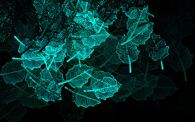 Poster - Dark Blue, Green vector doodle background with leaves.