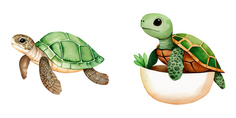 two adorable turtles illustrated in a playful style, one swimming and the other resting in a bowl, p