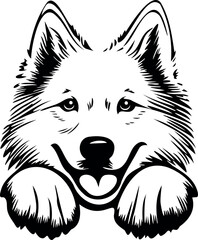 Wall Mural - samoyed dog vector illustration