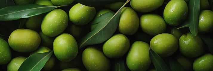 Olive Festival in Spain. ripe olives. olive oil. a holiday in Spain