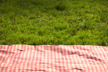 Wall Mural - Checkered picnic tablecloth on green grass, closeup. Space for text