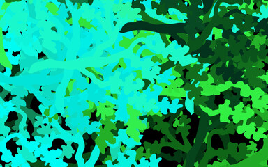 Poster - Dark Green vector elegant background with leaves, branches.