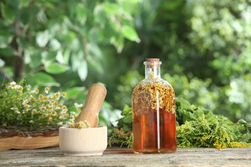 Wall Mural - Natural tincture in bottle and herbs on wooden table outdoors