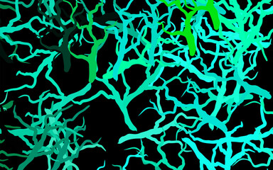 Poster - Dark Green vector natural pattern with leaves, branches.