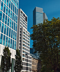 A Detail shots of skyscrapers in Frankfurt am Main with trees in the foreground