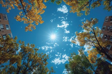 Wall Mural - A breathtaking upward view of the bright sun in a clear blue sky framed by tall buildings and vibrant autumn trees showcasing colorful foliage