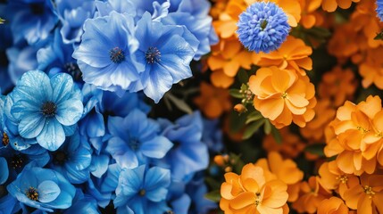 Canvas Print - Blue and Orange Flowers