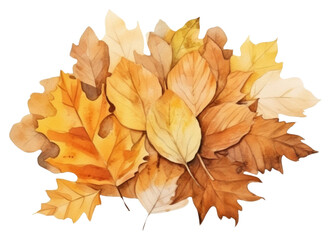 Wall Mural - PNG Leaf pile autumn plant tree.