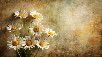 Daisies on grunge background with copy space Bird Eye View