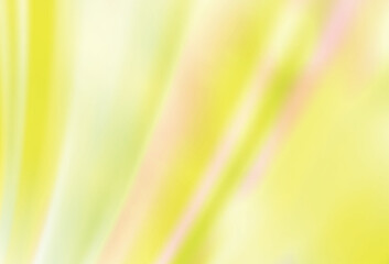 Poster - Light Yellow vector modern elegant layout.