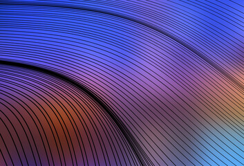 Poster - Light Blue, Yellow vector background with bent lines.