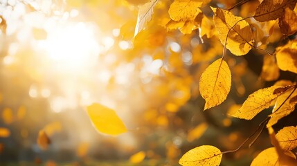Wall Mural - Autumn park scene with vibrant yellow leaves and sunlight, ideal for fall themes.