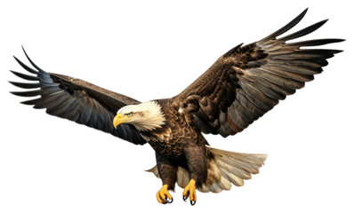 Poster - PNG Bald eagle flying animal bird.