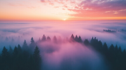 A beautiful, misty forest with a pink and orange sky in the background