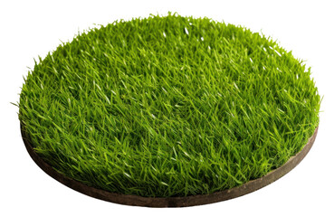 Sticker - PNG Flat round surface grass plant green.