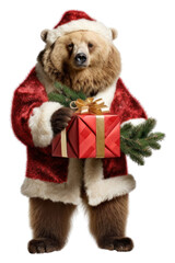 Poster - PNG Bear christmas standing costume.