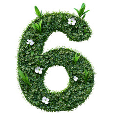 number 6 made from green grass and flower