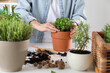© New Africa - Woman transplanting herb into pot at white table, closeup