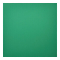 Canvas Print - PNG Square shape green backgrounds paper.