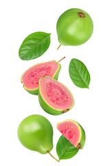 Canvas Print - Guava fruit slices isolated on white background with  full depth of field. Top view. Flat lay