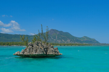 Tropical coastline on beautiful Mauritius, Indian Ocean