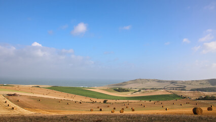 Wall Mural - Parc naturel régional des Caps et Marais d'Opale: vallons et champs du site des Deux-Caps dans le Pas-de-Calais entre Boulogne sur Mer et Calais sur la Côte d'Opale le long de la Manche