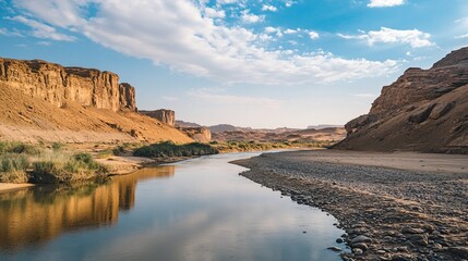 Wall Mural - river in desert at daytime