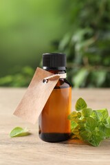 Wall Mural - Essential oil in bottle with empty tag and oregano leaves on wooden table against blurred green background, closeup