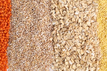 Wall Mural - Different types of cereals and lentils as background, top view