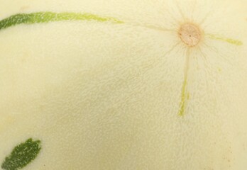 Fresh ripe honeydew melon as background, closeup