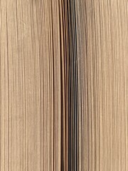 A detailed close-up of the pages of a book, captured from the top edge. The image highlights the dense alignment of the pages, creating a visually appealing pattern of vertical lines. The texture of t