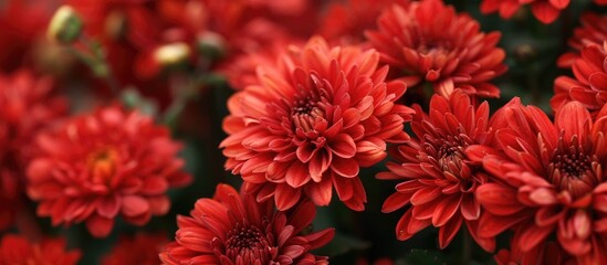 Sticker - Bunch Of Natural Red Flowers