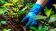© picsmart - Gloves hand planting plants, nature lover