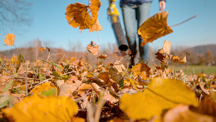 CLOSE UP, DOF: Flying colourful autumn foliage blown by a portable leaf blower. Clearing of dry fallen leaves from green lawn during garden maintenance with modern gardening tools in the fall season.