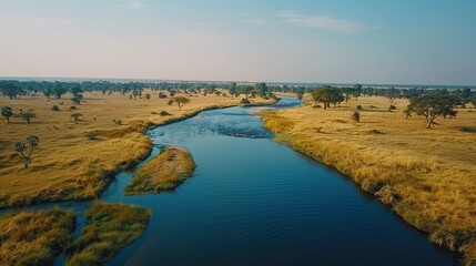 Wall Mural - Aerial View of a River Winding Through a Savanna