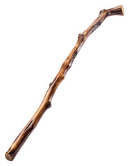 Canvas Print - PNG Walking stick white background driftwood brown.