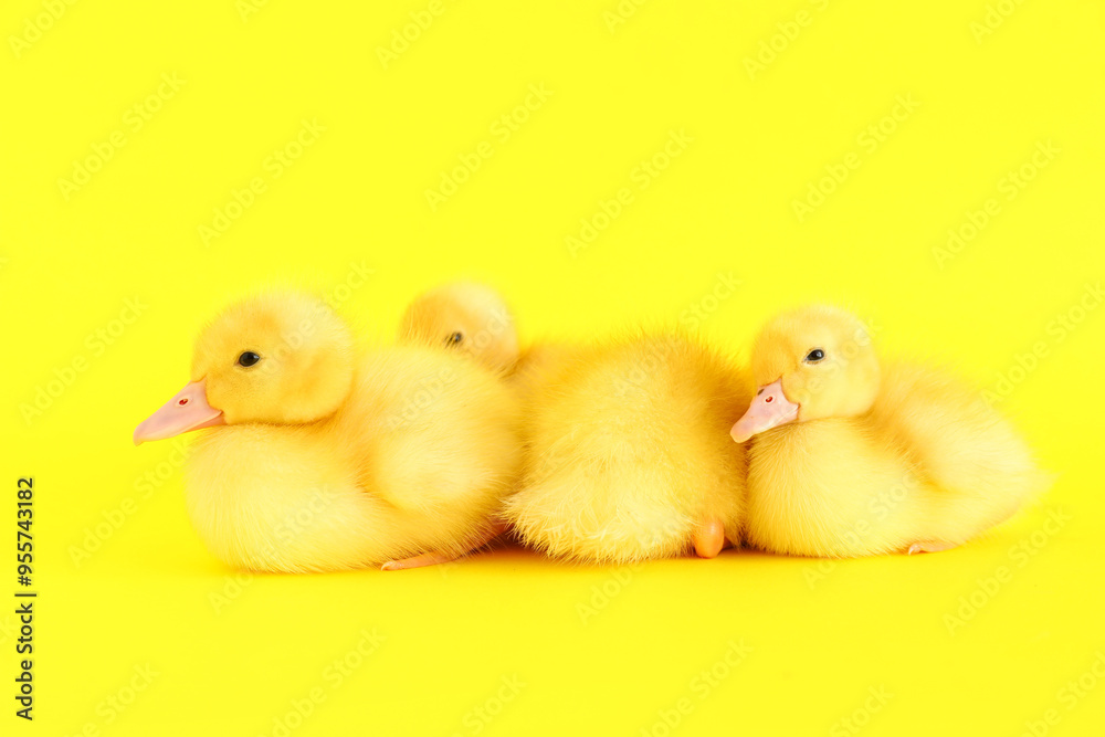 Cute ducklings on yellow background