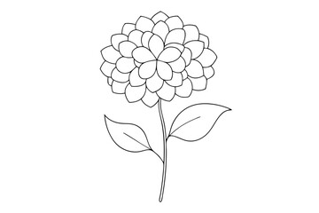 Wall Mural - Line Drawing of Hydrangea Detailed Line Art Vector