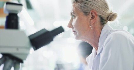 Aufkleber - Science, mature and scientist in laboratory with microscope for observation, medical and biology experiment for study. Woman, biotechnology and clinical analysis for disease diagnosis and lens flare.