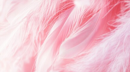 Sticker - Soft Pink Feathers