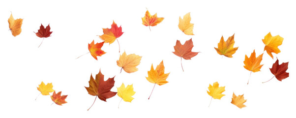 Sticker - PNG Autumn leaves falling maple plant.