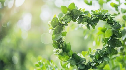 Canvas Print - Green Heart Shaped Leaves