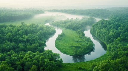 Aerial view of a winding river surrounded by lush green forest and mist, creating a serene and tranquil nature scene.